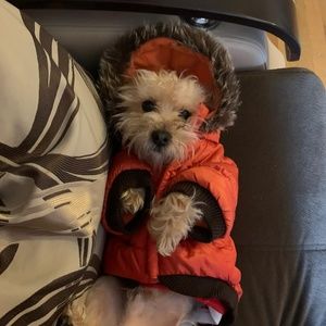 Meet your Posher, Kate